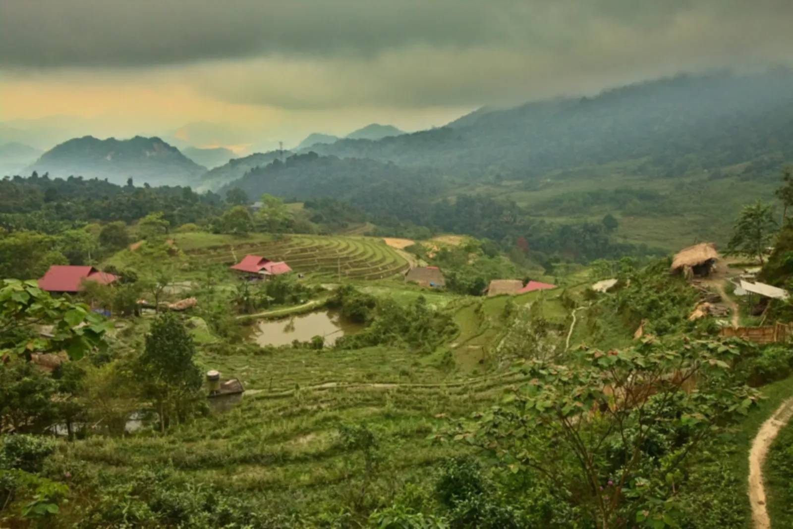 Rice terraces in the hills near Ha Giang town